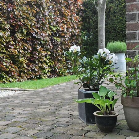 B&B De Logeur Asse Exterior foto