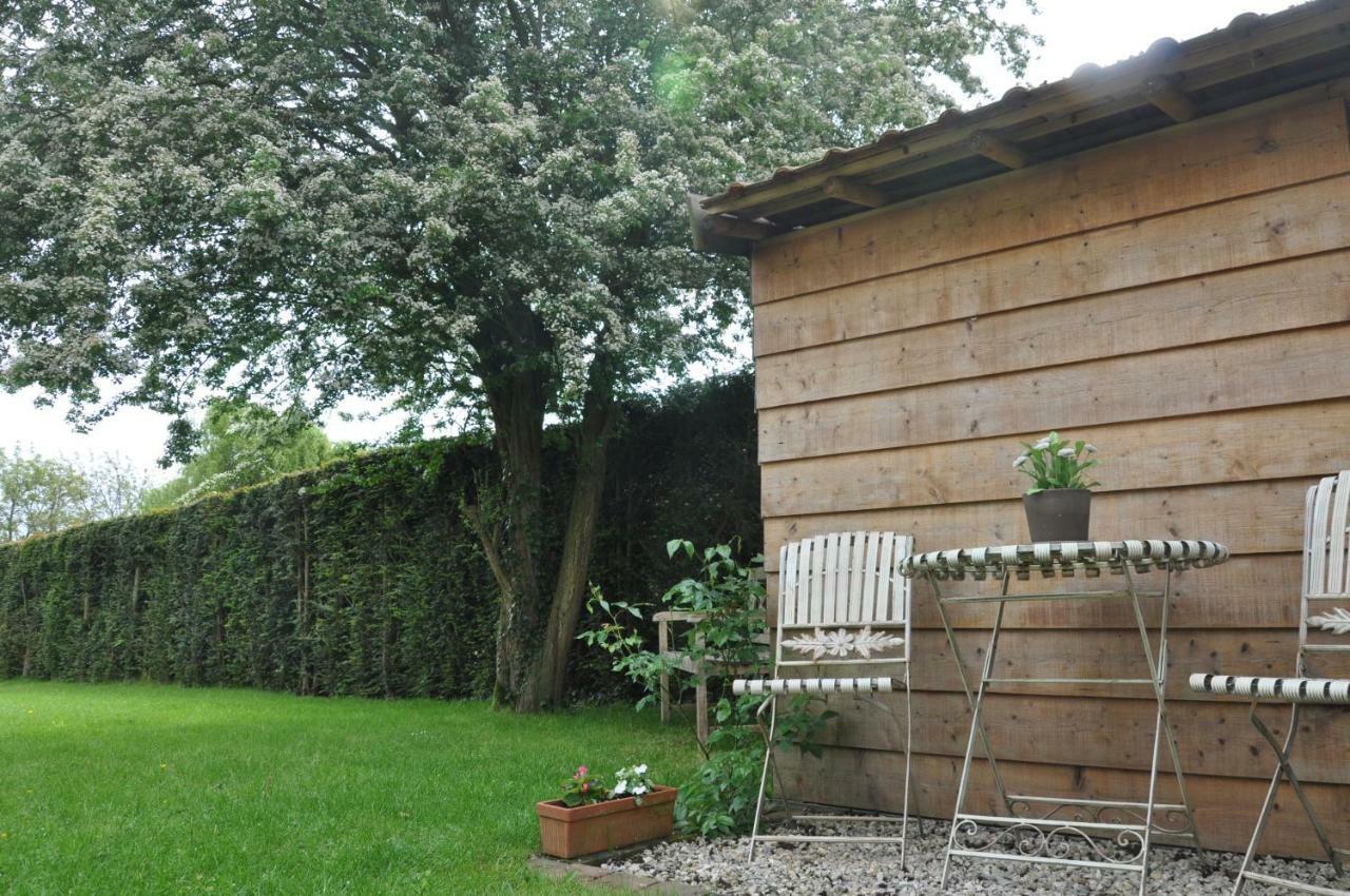 B&B De Logeur Asse Exterior foto